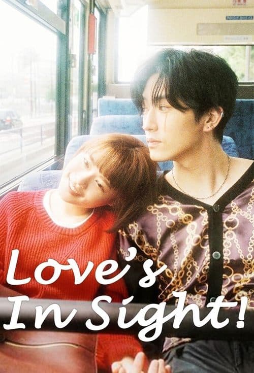 Love's In Sight! poster