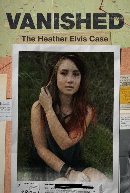 Vanished: The Heather Elvis Case poster